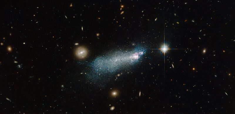 File:An intriguing young-looking dwarf galaxy.jpg