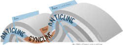 Anticline-Syncline-s-ink-FabioCrameri.png