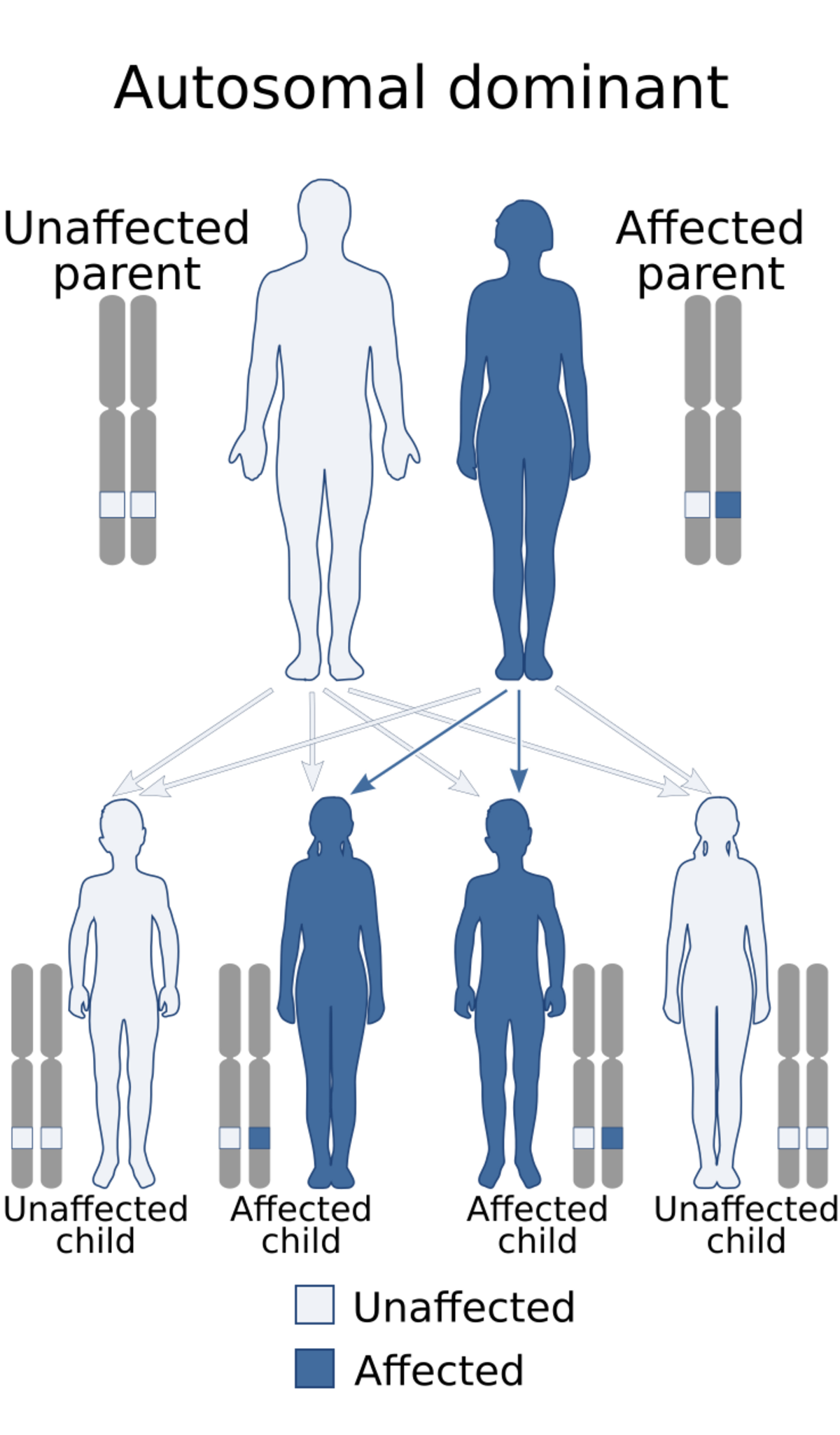 medicine-collins-pope-syndrome-handwiki