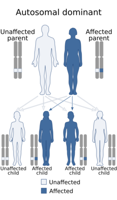 Autosomal dominant mode of inheritance