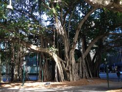 Creek Street, Brisbane 06.2013 060.jpg