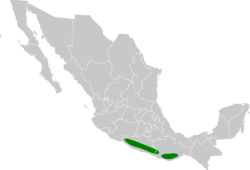 Cyanolyca mirabilis map.svg