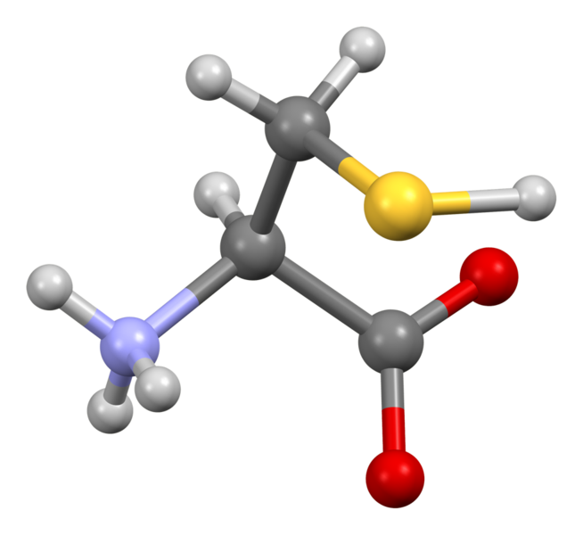 File:Cysteine-from-xtal-3D-bs-17.png