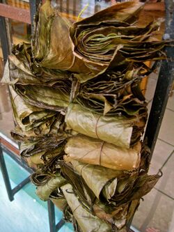 Dried bundles of leaves of Ilex guayusa.jpg