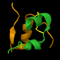 Insulin chain A and B linked by disulfide bridges.gif