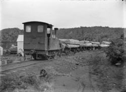 Kauri Timber Company's timber train at Waipapa, laden with logs. ATLIB 286699.png