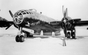 Kee Bird The Day It Crashed - 19 Feb 1947.png