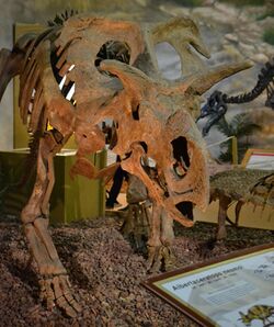 Medusaceratops lokii.jpg