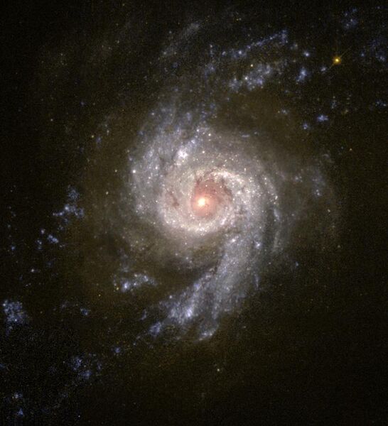 File:NGC 3310.jpg