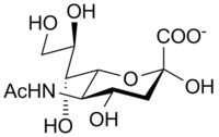 N-acetylneuraminic acid