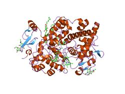 PDB 1diy EBI.jpg