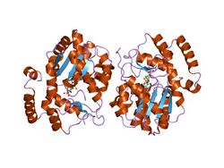 PDB 1efh EBI.jpg