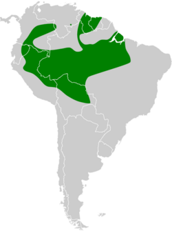 Paroaria gularis map.svg