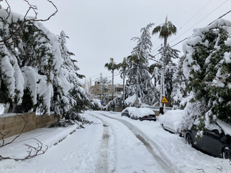 File:Snow in amman 2022.png