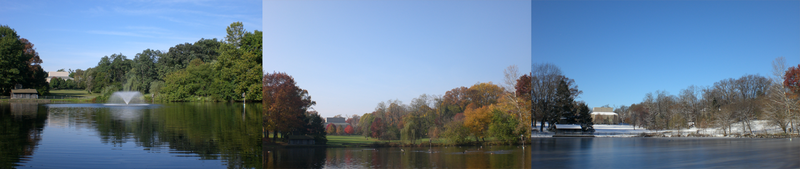 File:The Haverford College duck pond through 3 seasons..png