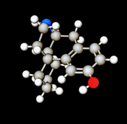 (+)-3-Hydroxymorphinan.png