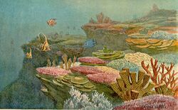 Ancient coral reefs.jpg