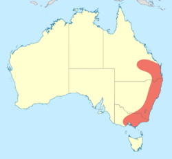 Dendroaeschna conspersa distribution map.svg