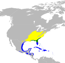 Dendroica dominica map.svg