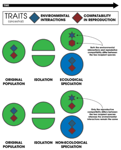 Ecological vs Non-Ecological Speciation.svg