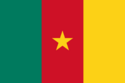 Vertical tricolor (green, red, yellow) with a five-pointed gold star in the center of the red.
