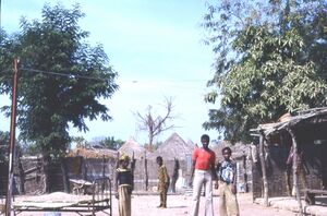 Kédougou in 1981
