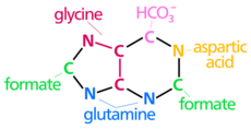 Nucleotide synthesis.svg