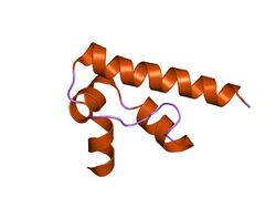 PDB 1koy EBI.jpg