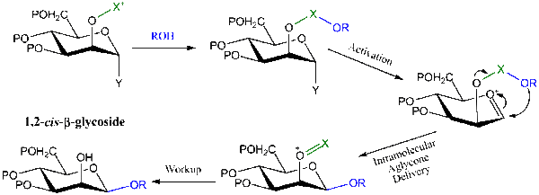 Preparation of 1,2-cis-b-glycosyl.gif