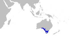 Pristiophorus nudipinnis distmap.png