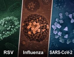 RSV, Influenza, and SARS-CoV-2 (52620877022).jpg