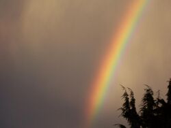 A curved rainbow against a grey sky.