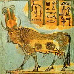 Apis bull on coffin.jpg