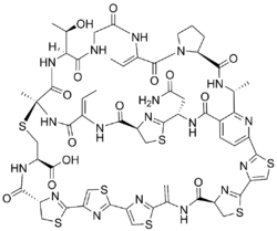 Cyclothiazomycin-A.png