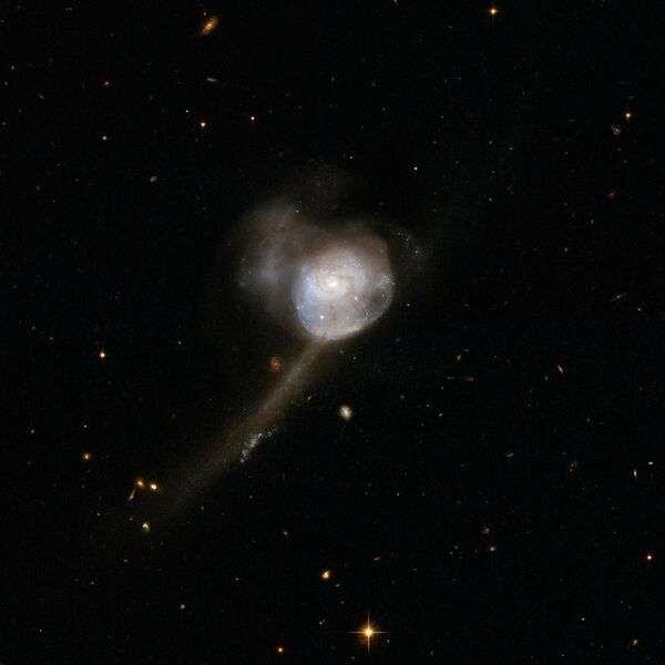 File:Hubble Interacting Galaxy NGC 17 (2008-04-24).jpg