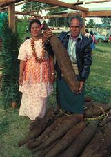 Tongan farmer showing off his prize yams