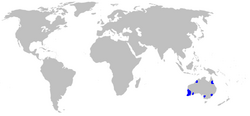 Map-Boryaceae.PNG