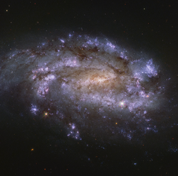 NGC 1559.png