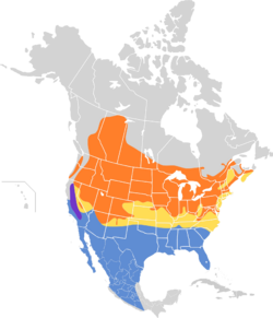 Pooecetes gramineus map.svg