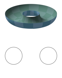 Standard torus-ring.png