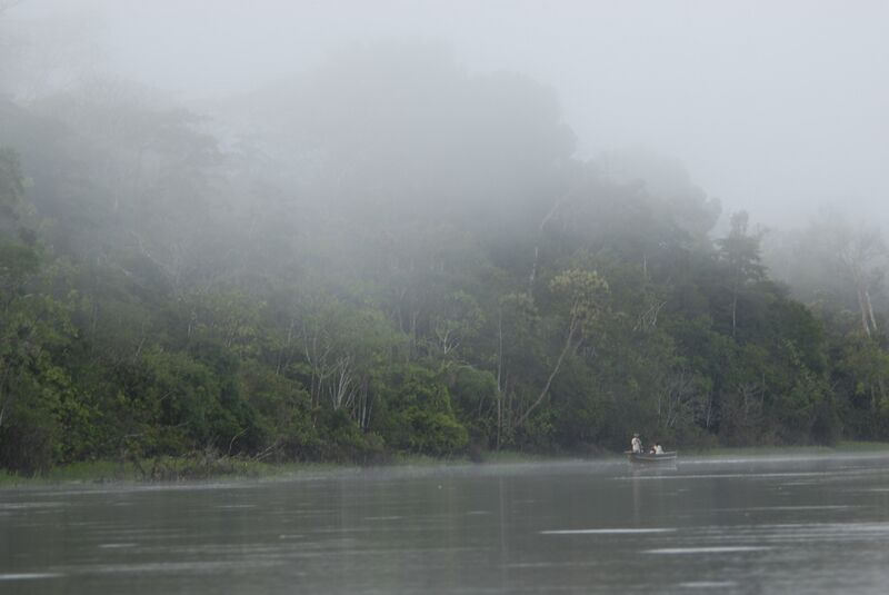 File:Tamshiyacu Tahuayo Regional Conservation Area Iquitos Amazon Rainforest Peru.jpg