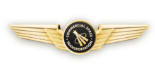 US - FAA Astronaut Wings version 2.png