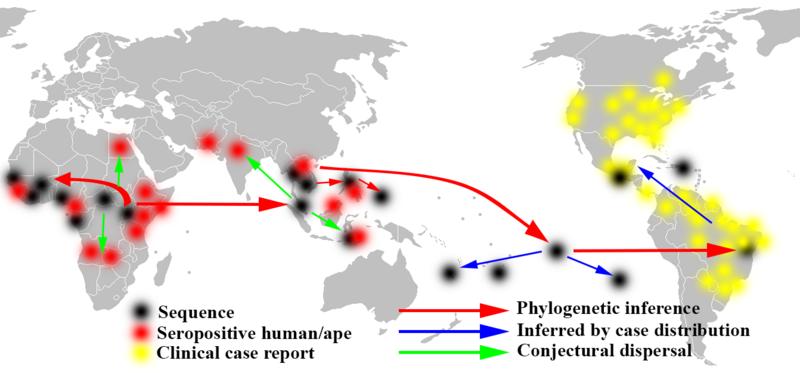 File:Zika phylogenetic analysis map.png