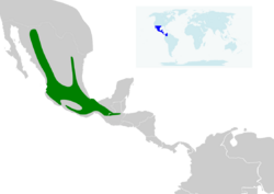 Basileuterus rufifrons map.svg