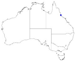 Boronia jensziae DistMap64.png