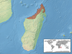 Brookesia stumpffi distribution.png