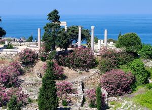 Image of a seaside hill. Oleander bushes with abundant pink blooms, a stone pine, and a number of cypress trees intertwine with ancient stone ruins and six composite Roman columns. Fenced-off burial shafts and a group of tourists appears in the image. A large expanse of sea is in the background.