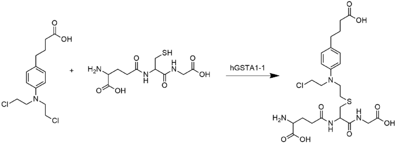 Chlorambucil glutathione reaction.png