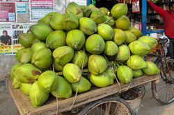Stack of green coconuts on cart