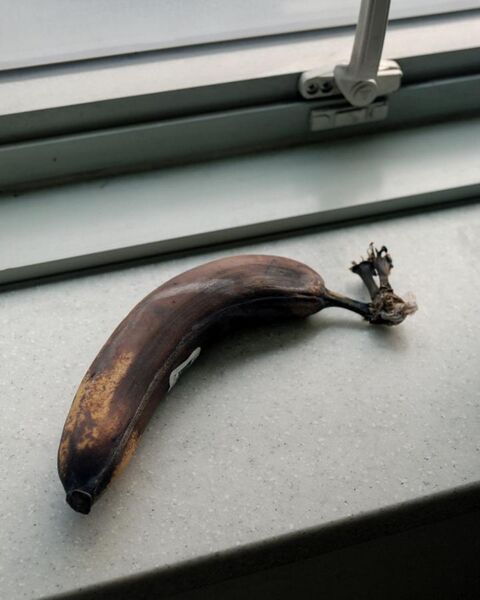 File:Extremely overripe banana.jpg